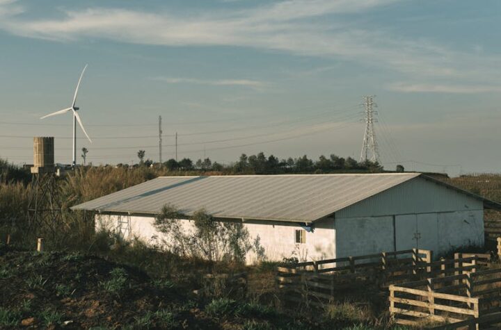 Zdjęcie do artykułu: Jak często myć dach, elewację i kostkę brukową?